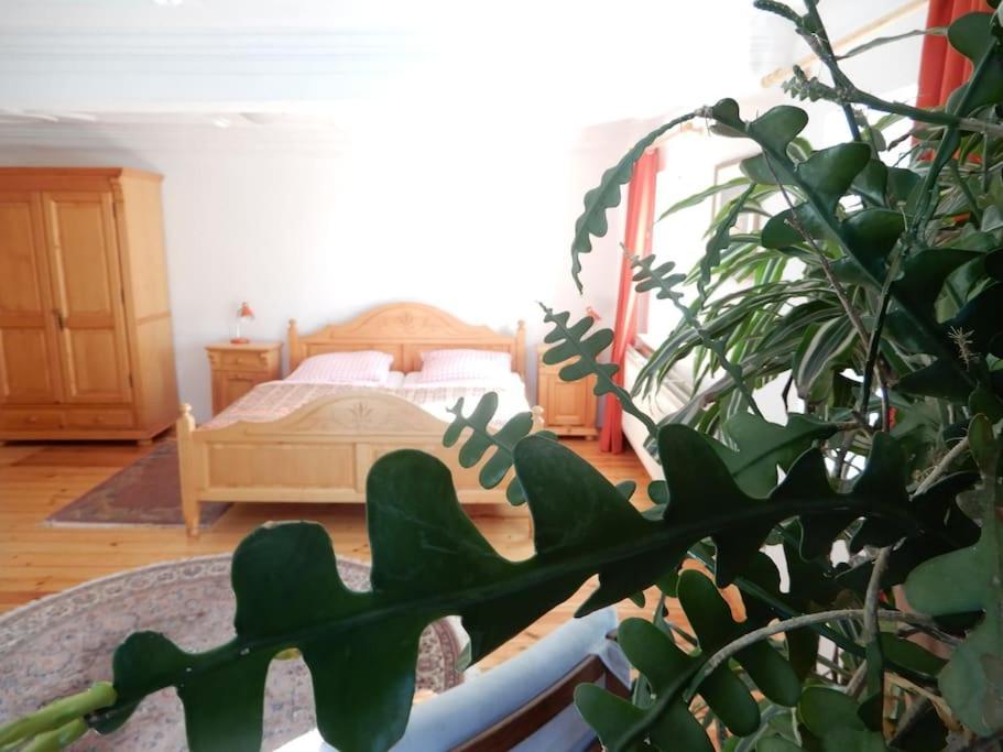 Apartment Laendliches Wohnen Zwischen Und Gotha